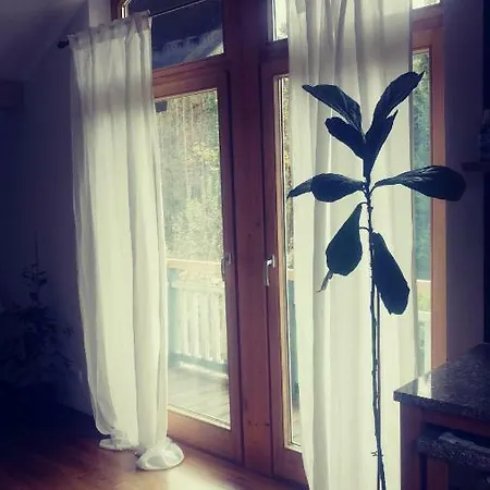 ***den Bergen Ganz Nah*** Apartament